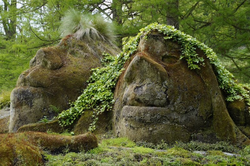 pair, no people, fairy tales, artwork, moss, 5K, nature, mainau, rock, green, woman, riesen, ivy, face, trunk, tranquil scene, grass, portrait, man, man and woman