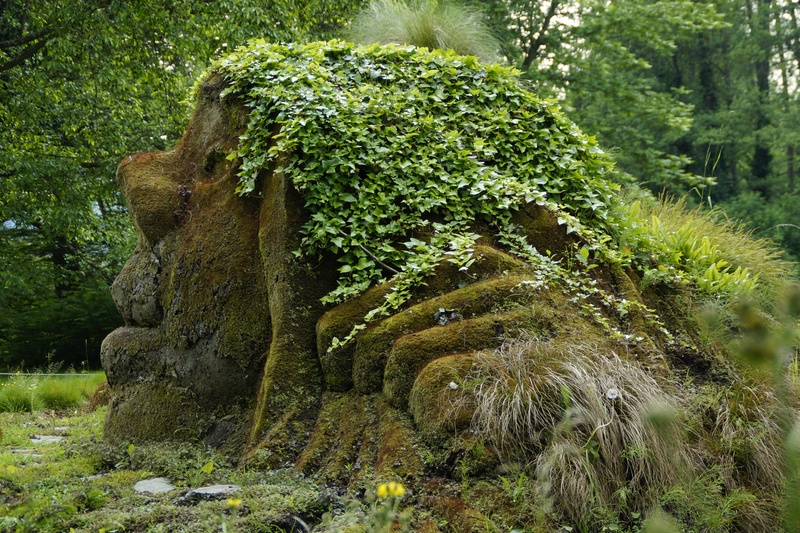 foliage, land, face, woman, grass, human, troll, nature spirit, stone, tree trunk, no people, trunk, gnome, bemoost, sculpture, portrait, moss covered