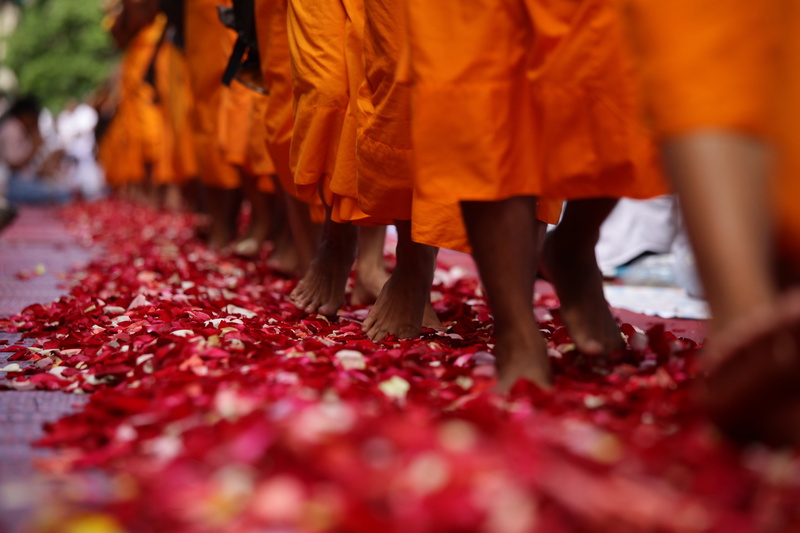 body part, buddhism, road, asia, petals, beauty in nature, selective focus, standing, 4K, walk, low section, phra dhammakaya, flower, clothing, human limb