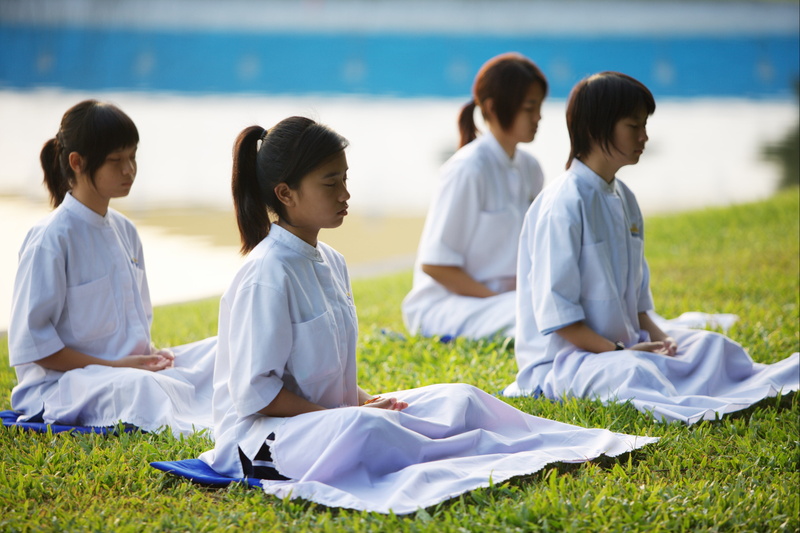 cooperation, wat, buddhism, grass, phra dhammakaya, girls, white, sitting, young, more than, children, school, million, women, group of people, dhammakaya pagoda