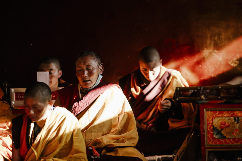 religion, priest, india, asian Ethnicity, traditional, sitting, christianity, buddha, male, 5K, sunlight, tradition, myanmar, person, temple - Building