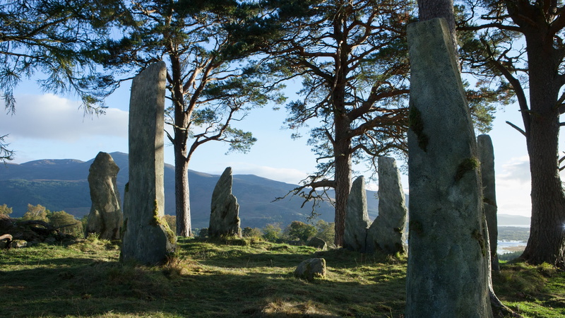 no people, scenics - nature, tranquil scene, tree, nature, growth, landscape, day, non-urban scene, outlander tv caitriona balfe sam heughan, tree trunk