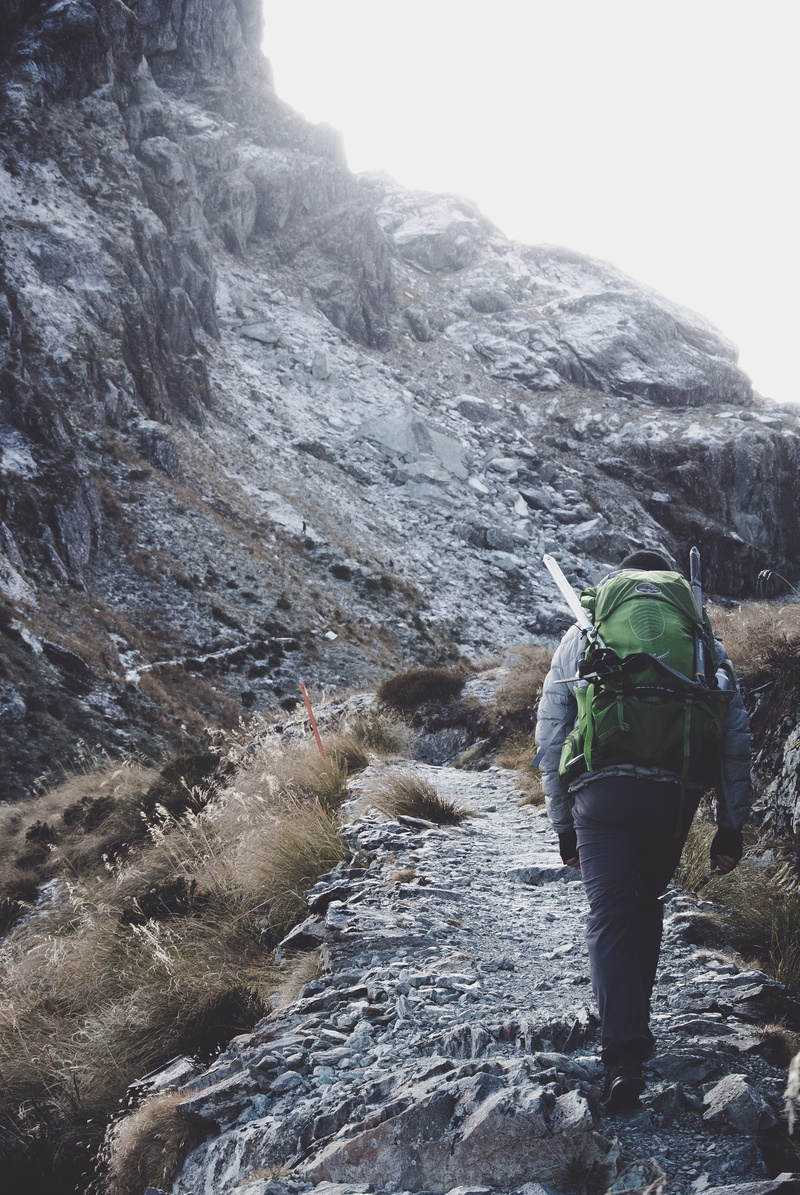 lake harris, walking, lifestyles, outdoors, mountain, activity, rear view, adventure, climber, real people, nature, outlander, close up, tramper, backpack