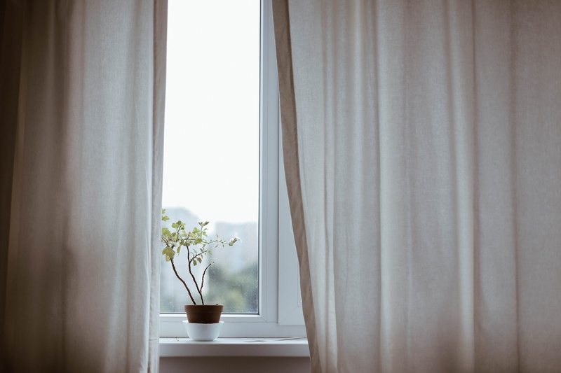 5K, brown, pane, houseplant, leafe, indoor, flower, eduard militaru, curtains, day, no people, potted plant, potted, eduardmilitaru, placed, home showcase interior