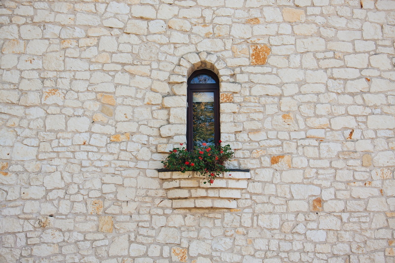 building, nature, brick wall, growth, road surface, day, outdoors, built structure, planter, history, flower, ledge, no people, window, flooring, plant