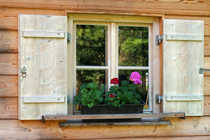 timber façade, deco, growth, transparent, potted plant, freshness, built structure, flowers, wood - material, architecture, 2K, black, hauswand, cottage