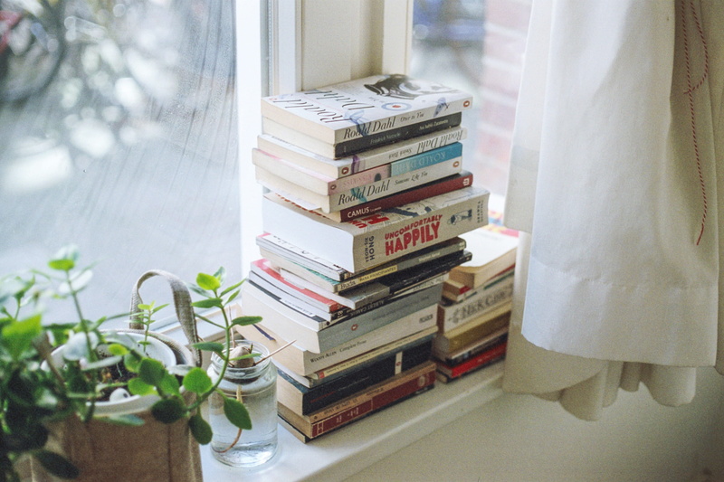 decoration, lot, book worm, heap, literature, education, window ledge, shelf, indoors, no People, backgrounds, house, curtain, light, window, title, bookshelf