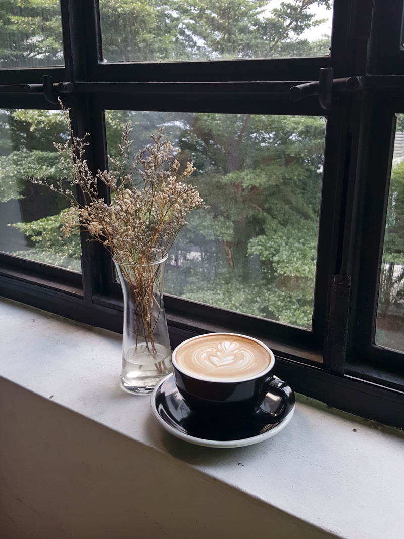 natural, indoors, freshness, coffee, glass - material, refreshment, plant, garden, ceramic, light, view, nature, window ledge, saucer, tree, 4K, coffee cup
