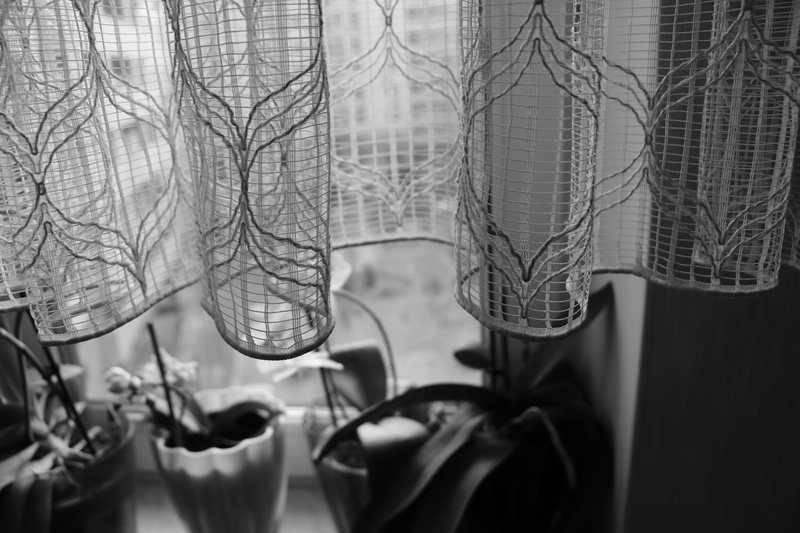 glass, inside, close-up, plant, decor, selective focus, design, focus on foreground, details, no people, tulle curtain, apparel, 5K, interior, orchids