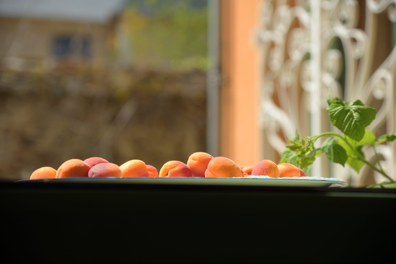 orange color, rippening, raw food, wellbeing, food and drink, tray, focus on foreground, apricots, close-up, vegetable, plant, growth, fruits, 5K, freshness