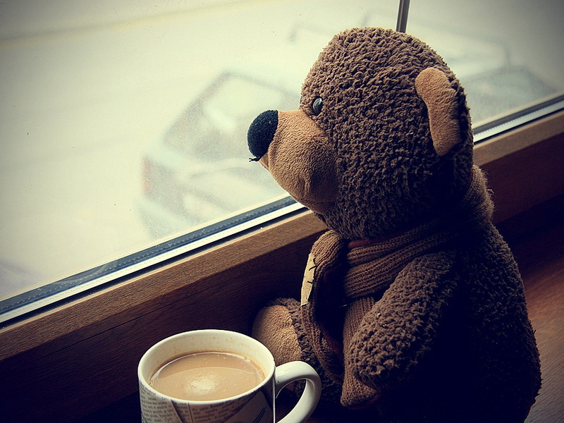 table, Teddy bear, Window, Toy, 720P, one person, Coffee, mug, Mood, coffee - drink, drinking, refreshment, hat, drink, warm clothing, indoors, knit hat