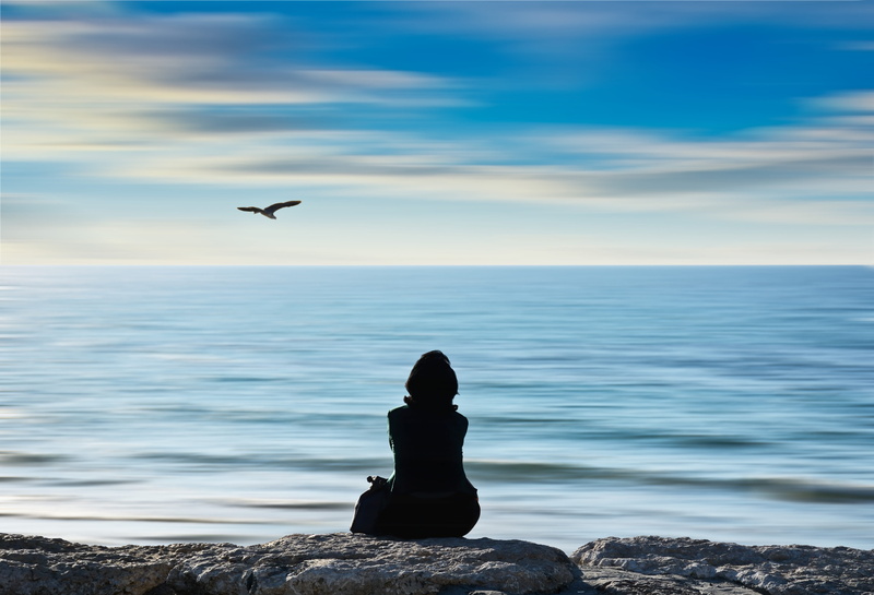 leisure activity, bird, seascape, rock - object, nature, near, water, lifestyles, photograph, horizon over water, sea, outdoors, horizon, scenics - nature