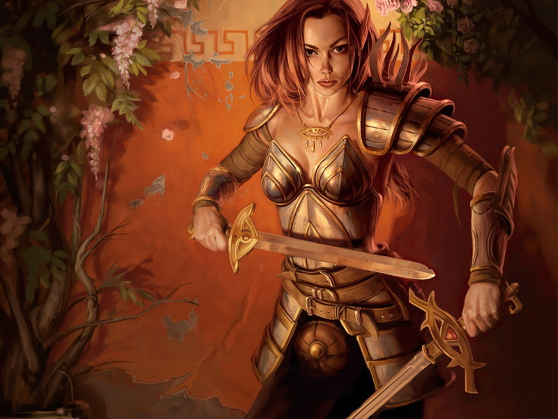 nights, paladin, neverwinter, drawings, 720P, swords, elves