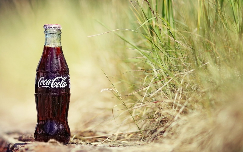 sign, grass, western script, day, land, bottles, no people, container, field, text, glass - material, bottle, close-up, Coca-Cola, food and drink, wood - material
