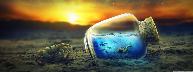 digital art, 4K, crabs, sand, bottles
