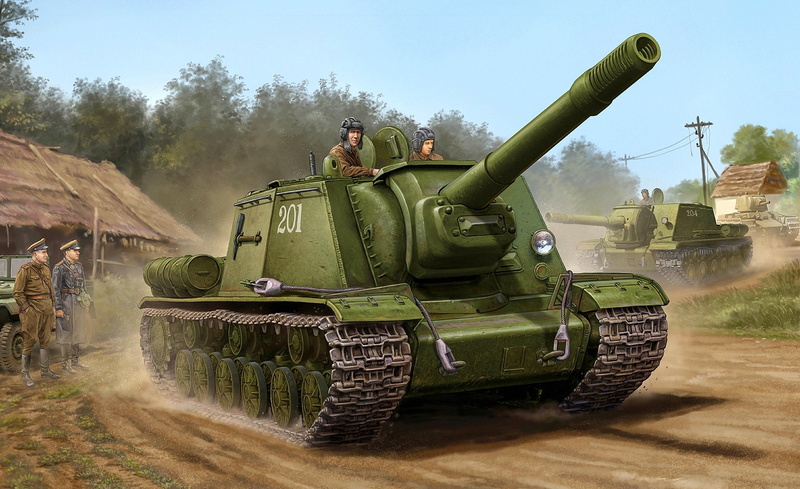 2K, plant, war, mode of transportation, self, St. Johns wort, power, gun, artillery, government, military Land Vehicle, cannon, the past, day, green Color