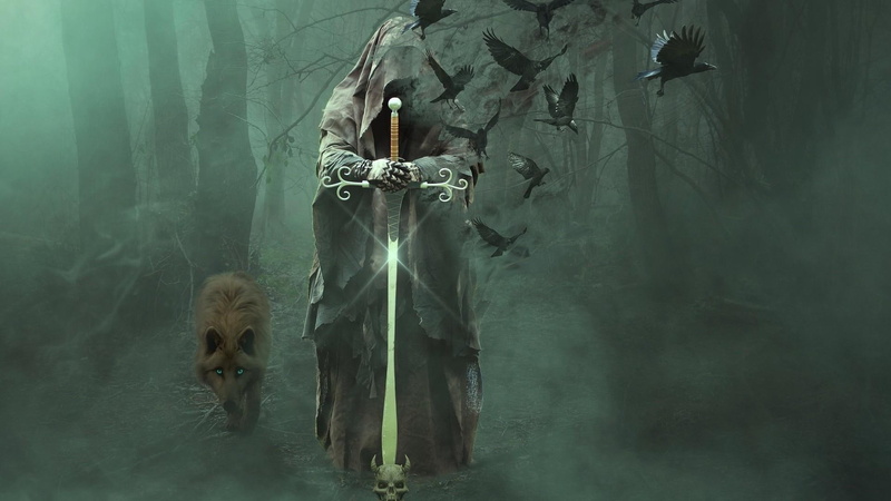 knight, fantasy art, raven, wolf, 1080P, magician, fantasy, wizard, magus, crow, forest, sword