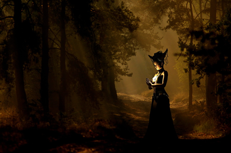 mood, young adult, mystery, woods, mysterious, forest, woodland, celebration, fairytale, one person, the witch, magic, standing, 4K, color, halloween