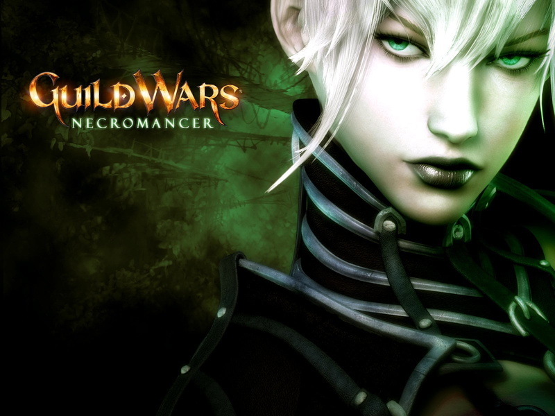 illuminated, dark, western script, portrait, 720P, front view, necromancer, guildwars, women, one person, studio shot, females, young adult, communication