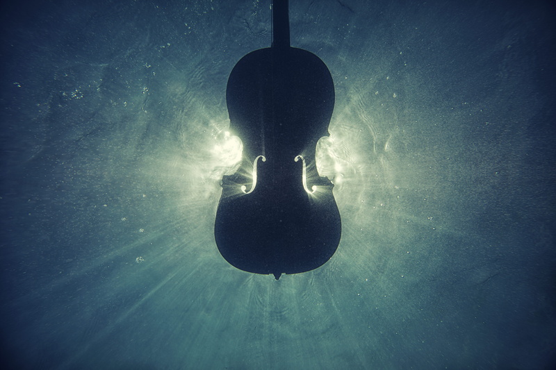 sea, silhouette, people, underwater, violin, music, musical instrument, 5K, light Bulb, chello, imagination, digital, backgrounds, innovation, sun, inspiration