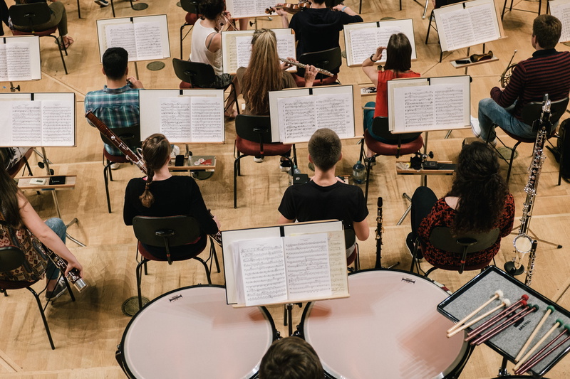 string instrument, men, musical equipment, music stand, group of people, performance, traditional, culture, orchestra, sheet, sound, arts, high angle view