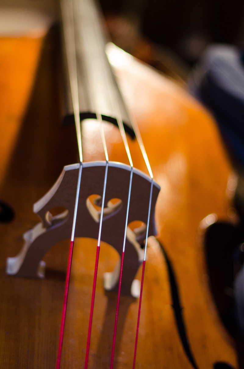 Fabrication, Métier, France, wood - Material, Fabien, macro shot, Beau, music, Wood, string Instrument, Luthier, violin, musical Instrument, Français, musical Instrument String