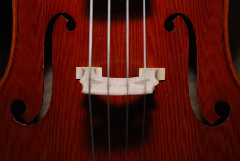 orchestra, classical music, no people, arts culture and entertainment, hole, red, guitar, double bass, paper, luthier, colored background, studio shot