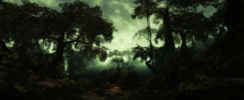 outdoors, lifestyles, tree, forest, land, 4K, the elder scrolls online 4k full hd pic, tranquility, growth, non-urban scene, nature, tree trunk, scenics - nature