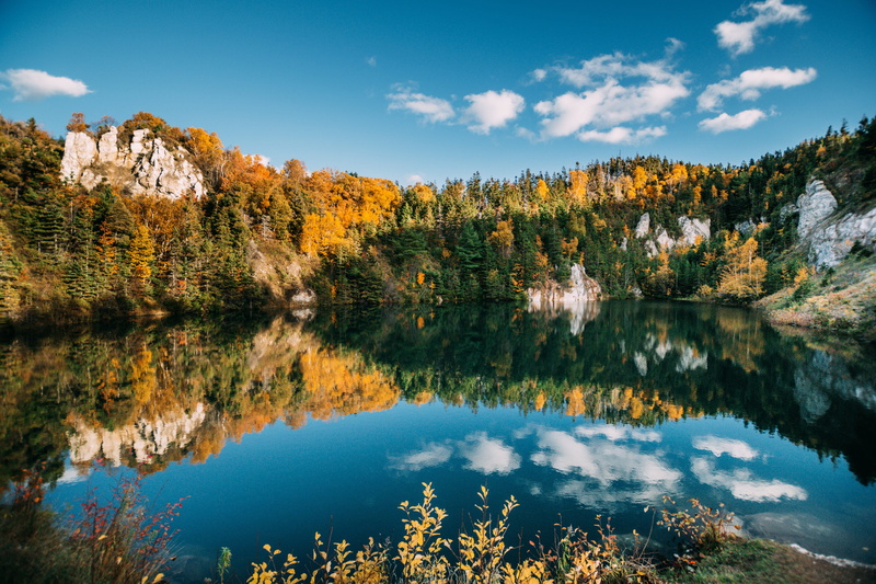 plant, outdoors, near, change, lake, abies, tranquility, beauty in nature, leaf, fall, no people, pine woodland, water, non-urban scene, trees, sky, canada