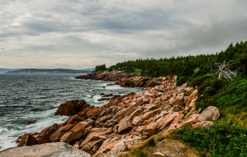 ocean, tranquility, outdoors, no people, summer, side, nature, water, tree, beach, beauty in nature, tranquil scene, rock, rocks, cloud - sky, wind, cape breton