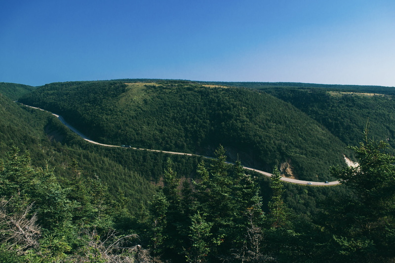 canada, cape breton, tranquil scene, green color, scenics - nature, day, no people, fir, environment, slope, idyllic, view, tree, beauty in nature, countryside