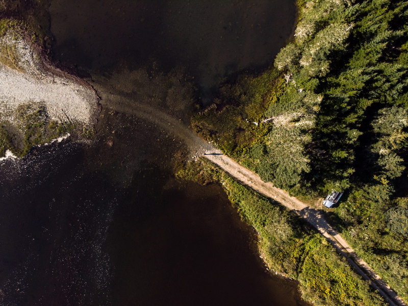 day, trees, near, forest, birds eye view, 4K, environment, aerial shot, photography, road, aerial, tranquility, tranquil scene, growth, canada, sunlight