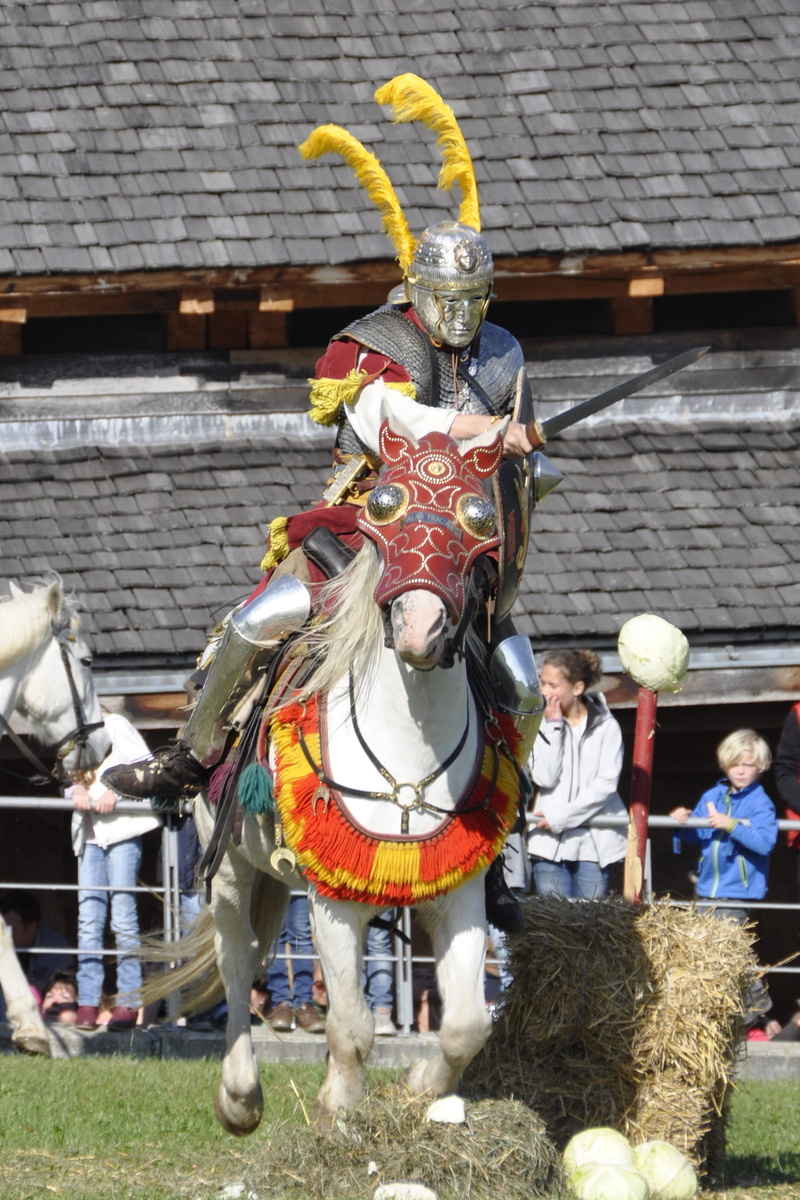 traditional Clothing, Horse, adult, Reiter, knight - Person, human representation, warrior, building exterior, period Costume, outdoors, Cavalry, art and craft