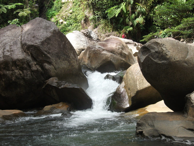 mountain stream, plant, whiteman range, forest, flowing, water, flowing water, motion, blurred motion, outdoors, waterfront, no people, west new britain