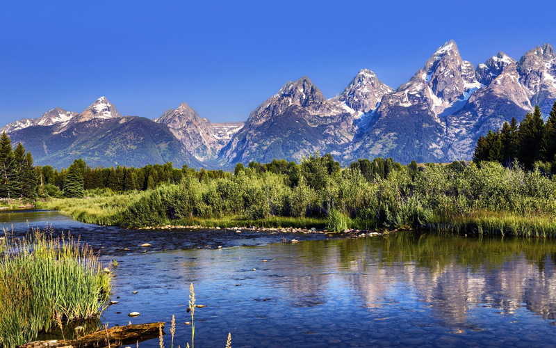 environment, no people, pine tree, scenics - nature, plant, tranquility, glacier, formation, landscape, nature, land, beauty in nature, forest, mountain peak