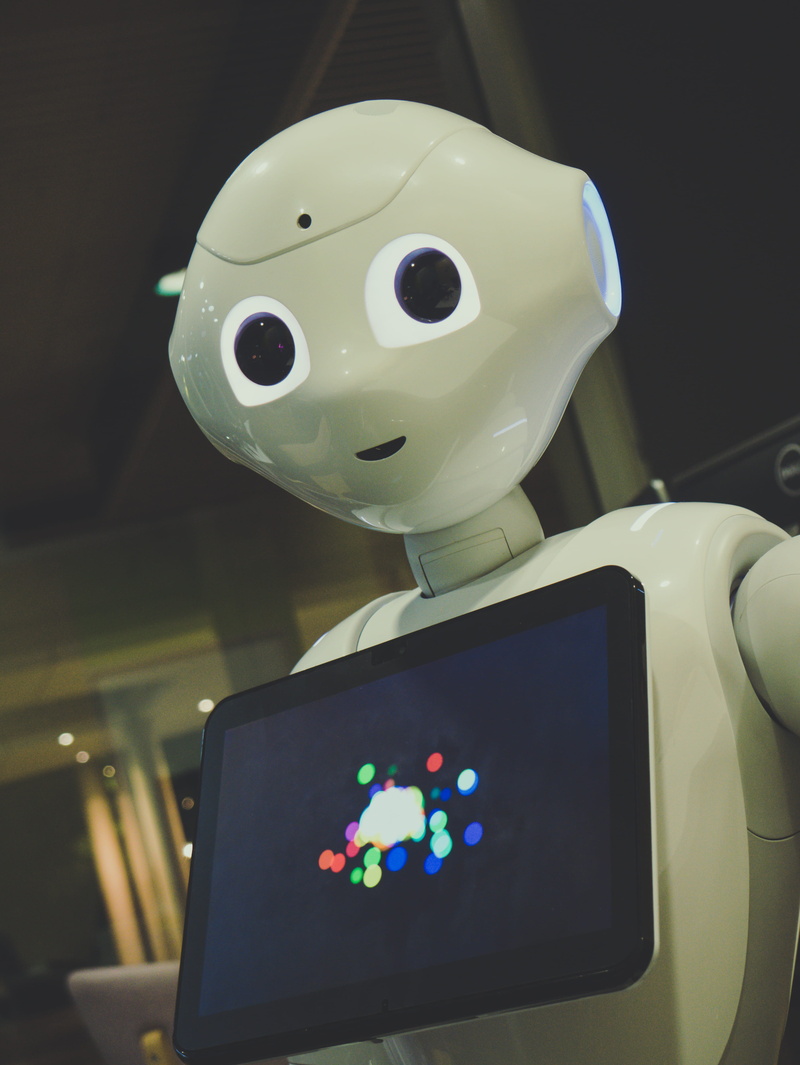 close-up, screen, toy, human representation, wireless technology, indoors, home decor, australia, apple, tech, focus on foreground, ipad, portable information device