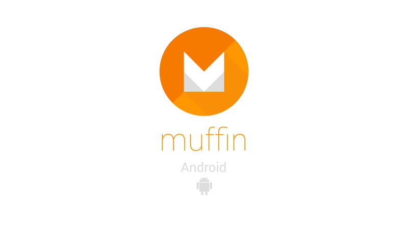 androids, non-western script, studio shot, information sign, orange color, copy space, text, geometric shape, indoors, white background, western script