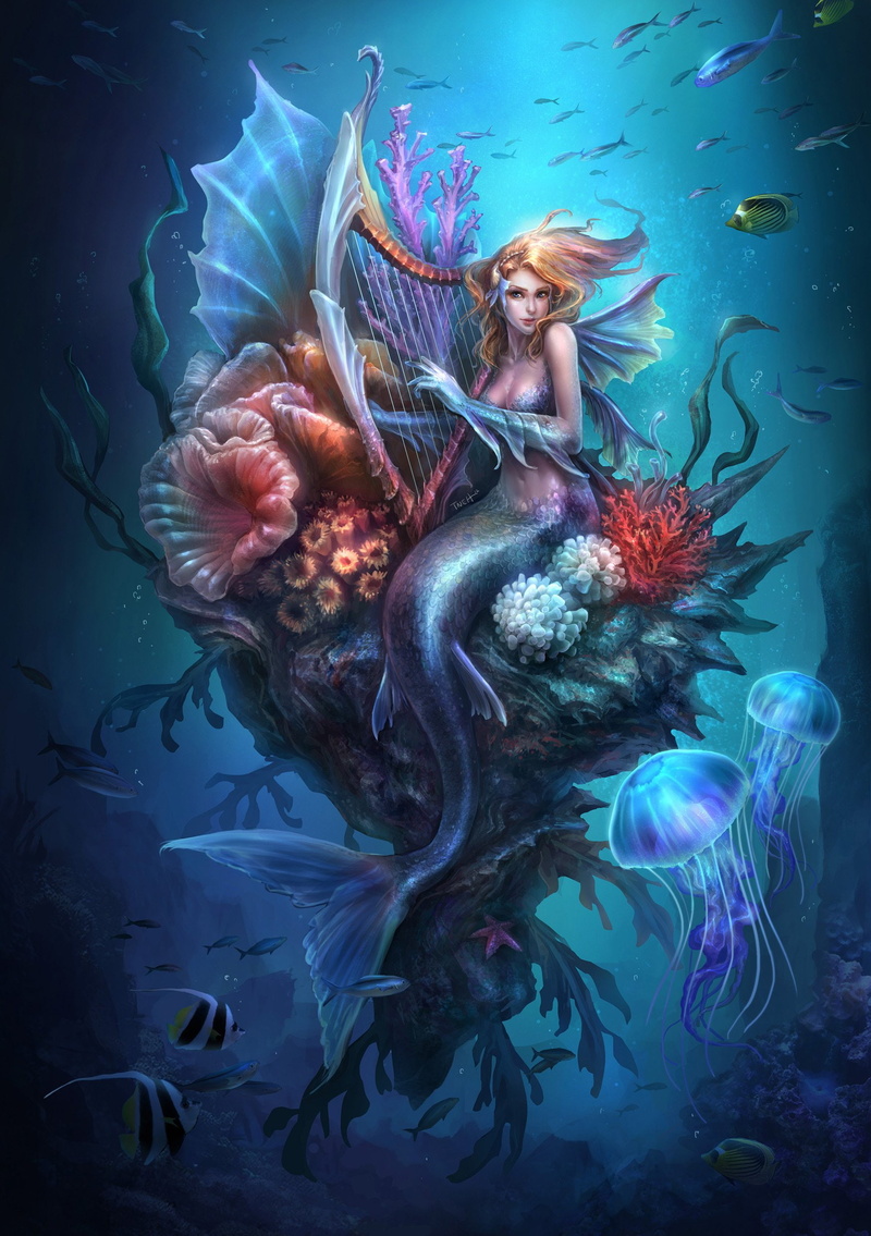 beautiful woman, animal wildlife, undersea, underwater, 1080P, vertebrate, francis, fantasy, group of animals, fish, nature, sea life, tneh, animals in the wild