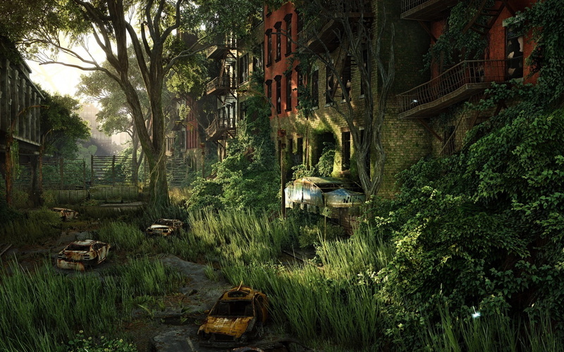 architecture, trunk, Overgrown, mode of transportation, no people, nature, forest, built structure, 1080P, transportation, growth, green color, building exterior