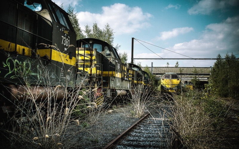 Train, Weeds, Abandoned, Station, 1080P, Overgrown