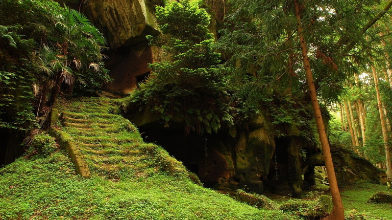 stairs, 1080P, overgrown