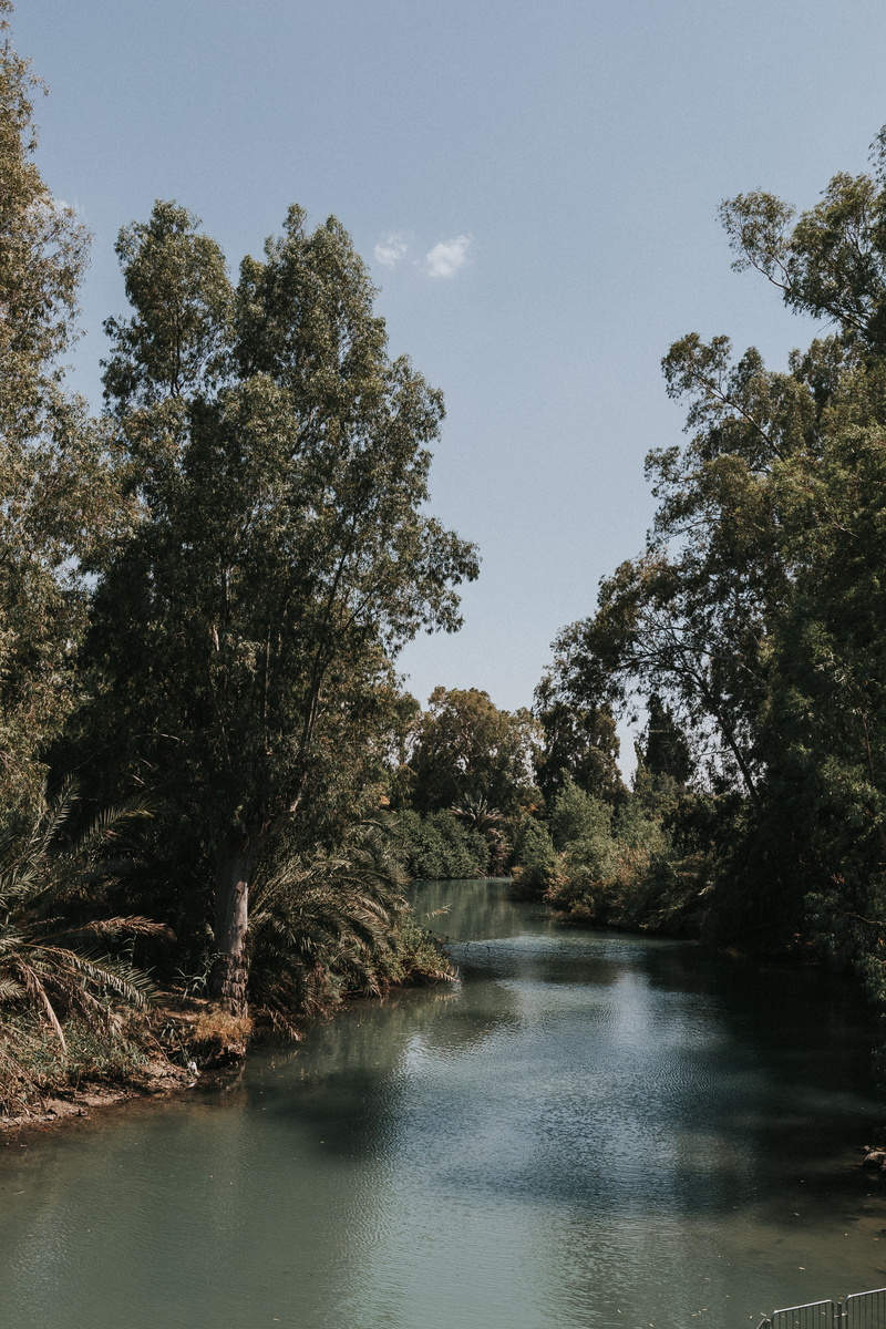 tranquility, no people, tree, water, growth, waterfront, non-urban scene, day, river, jordan, beauty in nature, forest, nature, outdoors, desert, reflection