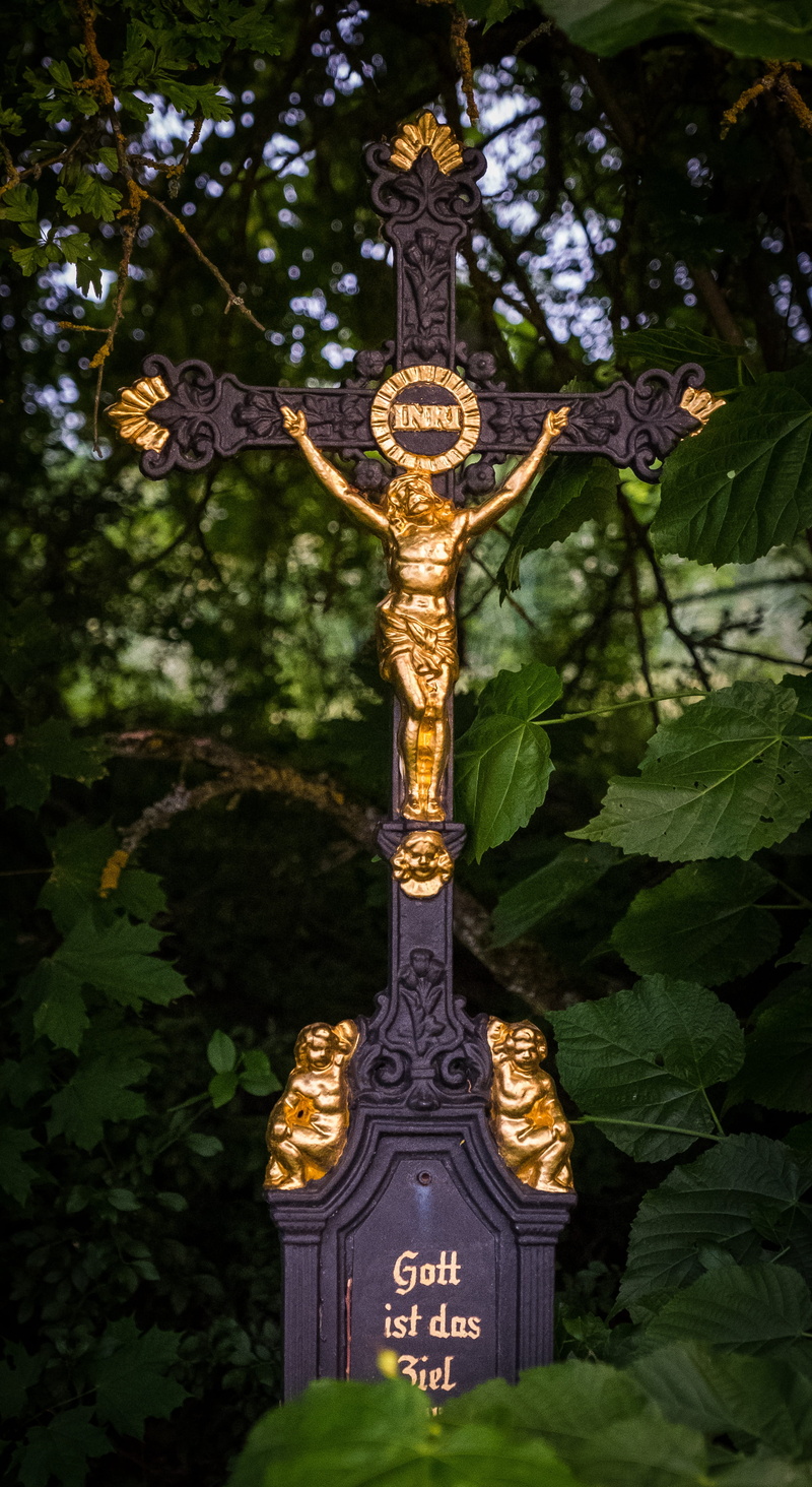 crucifix, art and craft, creativity, close-up, ornate, golden, christianity, plant, symbol, wayside cross, religion, tree, black, no people, sculpture