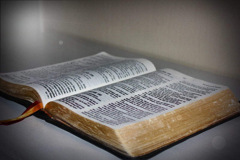 religion, business, studio shot, Books, Book, Light, 2K, belief, no people, selective focus, the bible, paper, communication, christianity, wood - material