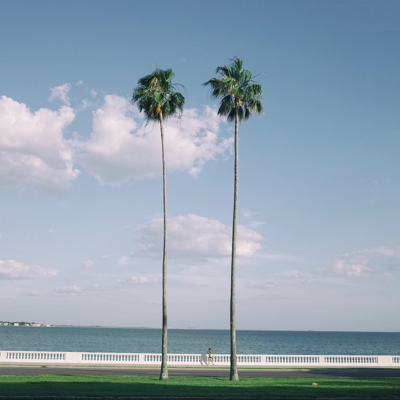 2K, tampa bay, beach, lifestyle, water, tranquility, street photography, land, horizon over water, no people, runner, tranquil scene, nature, bay, day