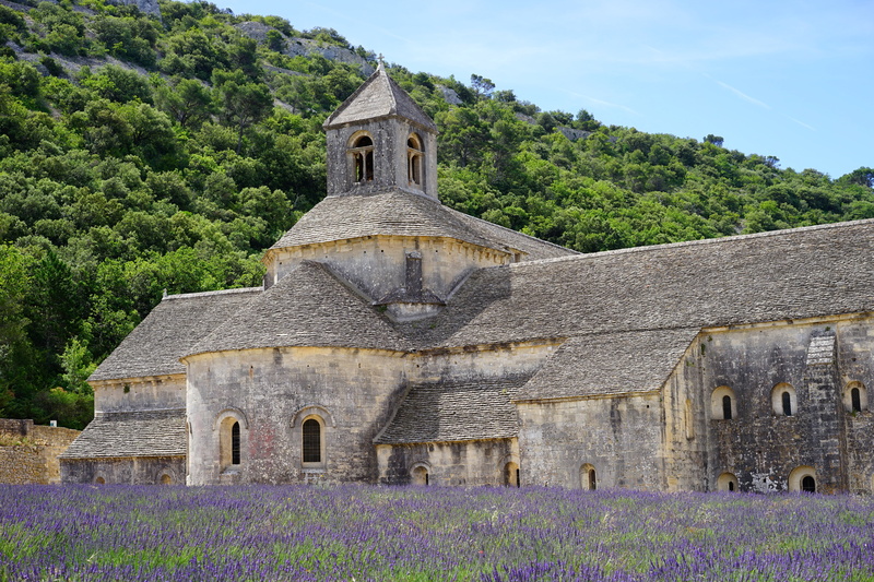 day, place of worship, fragrant, lavender field, garden, the past, lavender, flora, tree, travel, lavender meadow, belief, cottage garden, scented plant