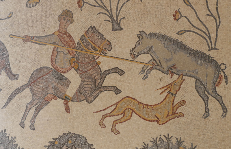 jordan, architecture, reiter, 5K, history, ancient, art and craft, mural, animal themes, animal representation, water, mountain, map, nature, mosaic, pattern