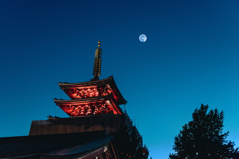 full, the past, temple, history, plant, moon, architecture, night, low angle view, brown, tree, full moon, built structure, no people, building, spire