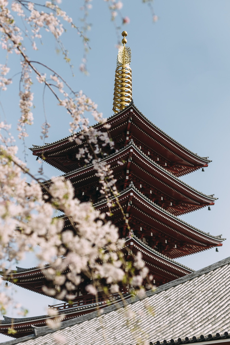 low angle view, spring, top, culture, place of worship, red, travel, roof, roof view, rod, belief, religion, pagoda, no people, travel destinations, building exterior