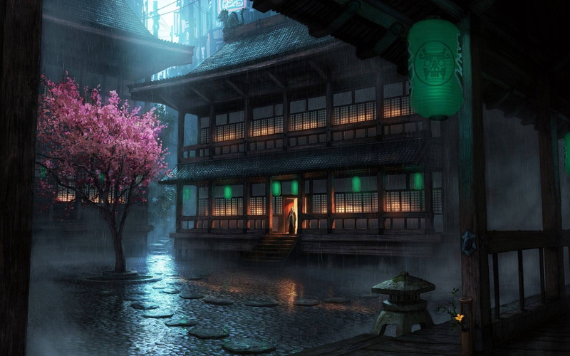 2K, flowering plant, tree, plant, one person, flower, rainy season, Japan, reflection, architecture, nature, illuminated, wet, rain, city, The Secret World